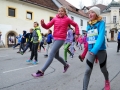 025-IZBOR-GMP_Kamnik2017 (Large)