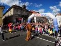 116-IZBOR-GMP_Kamnik2017 (Large)