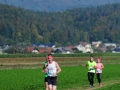 026-PROGA-GMP_Kamnik2017 (Large)