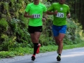 083-GMP_Kranjska-10ka-2017-tek-in-cilj (Large)