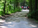 23_Radovljica_tek_Klemen_Dolenc_20150608.JPG